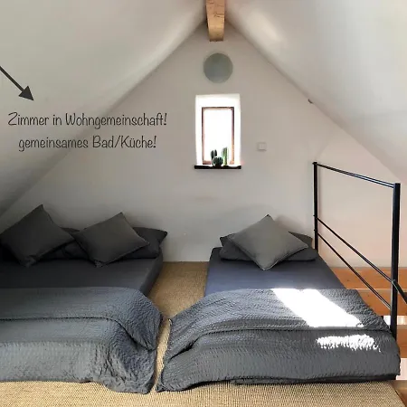 Leopold زيغمارينغن